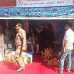 نمایشگاه توانمندی‌های روستائیان و عشایر استان تهران
