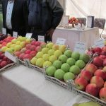 جشنواره سیب شهرستان دماوند