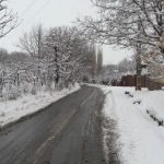 بارش برف در شهرستان دماوند
